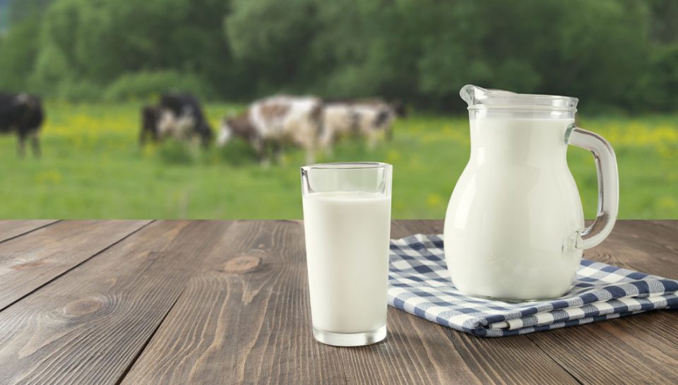 tam yağlı süt tam yağlı süt