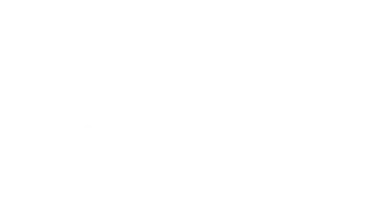 Anasayfa 1 bone