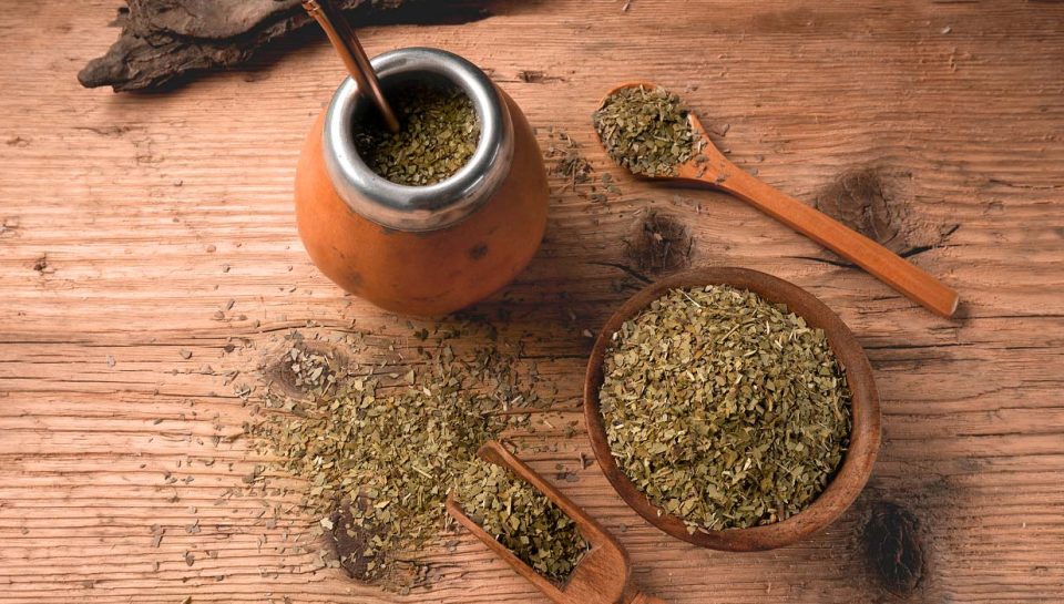 yerba-mate