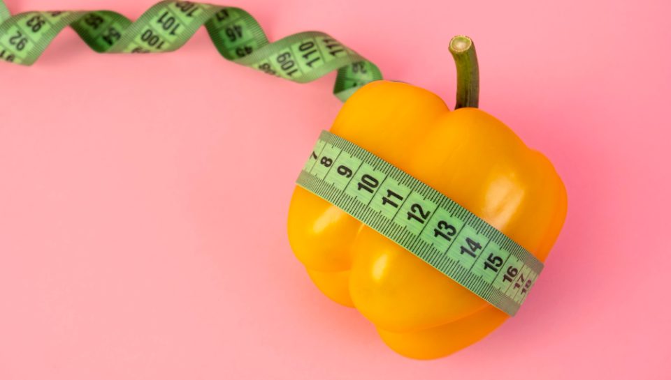 Obezitede Genetik Faktörlerin Rolü Obezitede Genetik Faktörlerin Rolü