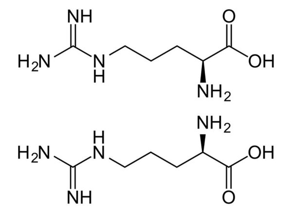 Arjinin Nedir? Faydaları Nelerdir?