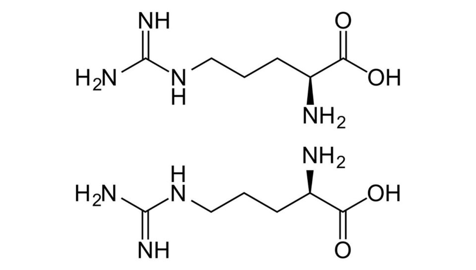 Arjinin Nedir? Faydaları Nelerdir? Arjinin Nedir? Faydaları Nelerdir?